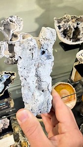 We posted this one before but not since it got polished and wow. The agate came out so shiny and the banding under UV is unreal. This fossil coral is over 20 million years old. We found it while diving with the @diveblu3 Nomad Mini. The day we found this spot we filled a @bigant.crate but this piece was the standout. #fossil #florida #geology #crystals | Dig Dive Discover