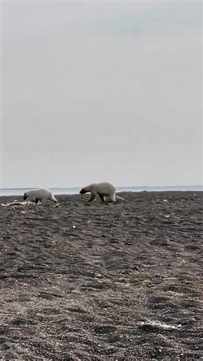 2.4K views · 18 reactions | Senator Dan Sullivan on Reels | Facebook