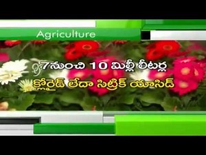 Eruvaka - 30-10-2014 - 99tv