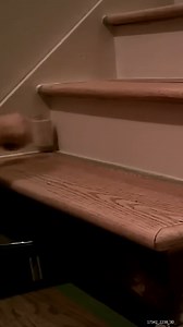 6.1K views · 16 reactions | How to Refinish a Staircase | DIYTyler | Facebook