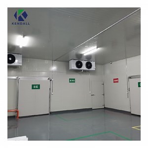 [Hot Item] Walk in Cold Storage Room for Vegetables Fresh Fruits Cooler Room Warehouse