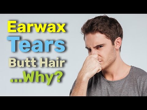 The Science Behind Butt Hair