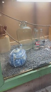 Our domestic fancy mice have had a domestic fancy house makeover! 🐭 🥰 #mice #crib #newdigs #feelingfancy | Folly Farm Adventure Park & Zoo