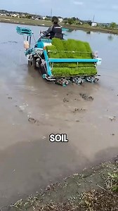 Japan_s automatic rice transplanter frees farmers_ hands | Willow Gale