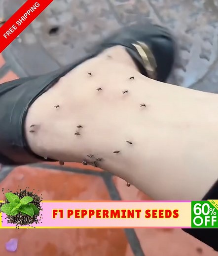 101 reactions · 16 shares |  LIHIM PARA SA ISANG BAHAY NA LAGING...