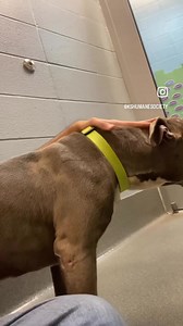 43 reactions | I’d say Brad Pitt is better looking than Brad Pitt in...