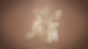 12K views · 1.5K reactions | The Loyal Pin - Mini teaser Phim cổ trang GL đầu tiên của Thái Lan sẽ được phát hành vào: ️ 28/2/2024 ⏰14:30 Trên kênh youtube IDOLFACTORY | All about FB | Facebook