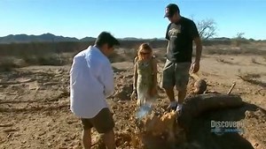 Who wins this MythBusters, the machine gun or the tree? (via Discovery Channel) | GOVX