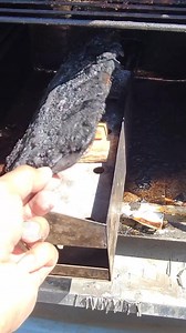 Good looking rack of ribs on an old school SM009. #cookshack #Outdoorcooking #bbq #ifyouknowyouknow #bbqribs #NoGasNeeded | Cookshack Inc.