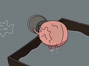 99K views · 584 reactions | Heart : I love you so VS Brain : Please Let me go - I love you so by THE WALTERS | Vann | Facebook