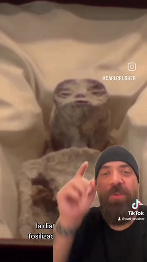 15 reactions |  Mexican Government reveals ancient aliens  #aliens #mexico #government | Crystal Vision Creations | Facebook