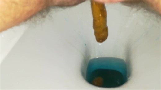 Result digested burger