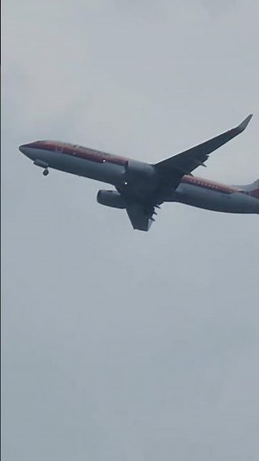 AirCal Retro 737-823