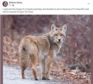 The Vanderhoof desert