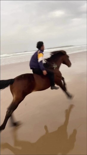 11K views · 363 reactions | Watch as this fearless boy unbridles chaos, taking his stallion on a wild ride! 鸞 #ViralHorseDaredevil #UnbridledAdventure #CrazyStallionThrill #HorsepowerHijinks #EpicEquineEscape #WildRide2023 #FearlessEquestrian #BridleBreakout #StallionSensation" | Oussama_horserider | Facebook