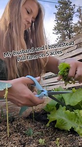 #homesteading #homestead #simplelife #farm | Mountain Spring Homestead