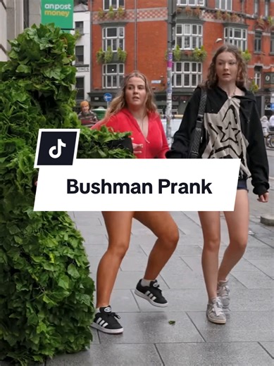 Bushman Prank #bushmanpranks #hilarious #funny #jokes #bushmanprank