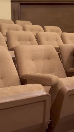 Casting Cd Chihuahua | Miss Chihuahua