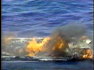 Forensic Files Sex, Lies and DNA 4 | Forensic Files 2024