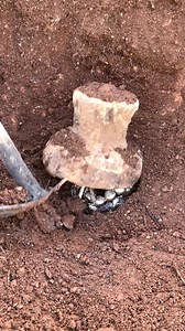 174K views · 968 reactions | Treasure hunting #adventure treasure #gold #found a treasure #metal detector #كنوز ودفائن | Mohammed Mallouch | Facebook