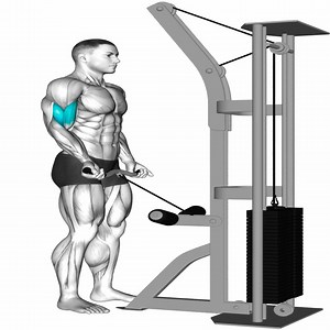 3.8K views · 168 reactions | Total Arm Transformation | Muscle man | Facebook