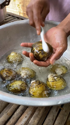 20K views · 158 reactions | Wow! Cooking Big Clams To Eating #clams #seafood #food #foodie #shrimp #foodporn #mussels #lobster #oysters #crab #pasta #foodphotography #instafood #foodstagram #fish #italianfood #dinner #shellfish #seafoodlover #scallops #delicious #yummy #clam #vongole #foodblogger #foodlover #prawns #calamari #salmon #seafoodboil | Tasty Wilderness Food | Facebook