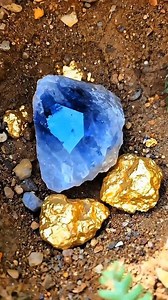 285K views · 1.1K reactions | OMG Primitive humans discovered wood and it turned out that under the wood there were crystals and gold #gemstone #crystals #diamond #agate #jade #gold #petrifiedwood | Andri Firnandes | Facebook