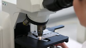 Scientists make breakthrough that could halt spread of aggressive cancer