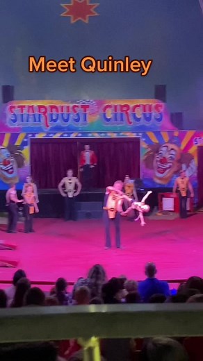 Meet Quinley: Youngest Performer at Stardust Circus
