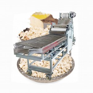 [Hot Item] Automatic Peanut Cutting Almond Nut Chopping Machine/Nut Chopper/Nut Grinder