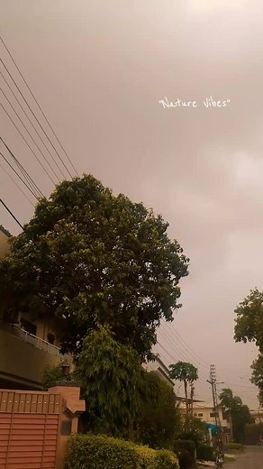 Android audio pack mujiii.zip — Nature Vibes (Lahore)