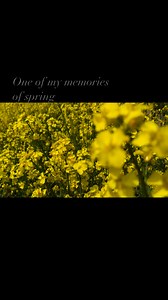 18K views · 481 reactions | Koreanwave on Reels | Facebook