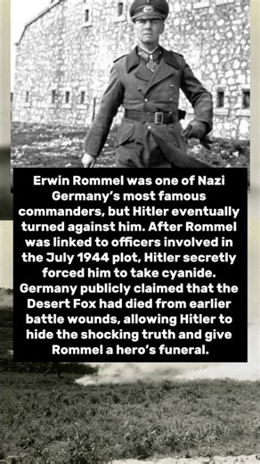 Why Did Hitler Force His Most Famous General Erwin Rommel to Take Poison