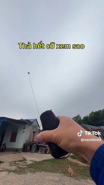 Chơi Diều Mini: Cách Làm Diều Sáo Bằng Tre