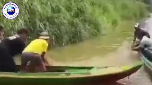 សត្វក្រពើទម្ងន់ជាង ៤០គីឡូក្រាមដែលពលរដ្ឋប្រទះឃើញត្រូវមន្រ្តីជំនាញចាប់បានហើយ | Khmer7news