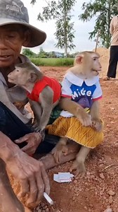 37K views · 757 reactions | YaYa Shally love grandpa  ❤️ | YaYa Family | Facebook