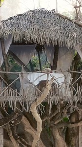 3.1K views · 28 reactions | Immerse yourself in total bliss at Adaaran Select Meedhupparu Adaaran Select Meedhupparu #zahatravels #zahatravelsdmc #luxury #premiumhotels #resorts #maldives #destinations #capturebeauty #nature #beach #sand #turquoiselagoon #honeymoon #romance #travel #love #topvillas #worldsbest #beachbum #holidaysinthesun #sunnytropics #happy #destinationmaldives #dreamyholidays #premiumhotels #luxurydestinations #beachbum | Zaha Travels | Facebook