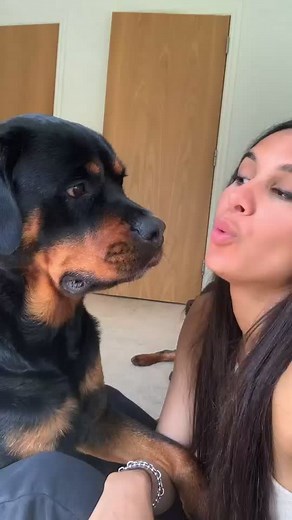 dogknottingallday (@dogknotting_allday)’s videos with Happy Dog - DJ Moody