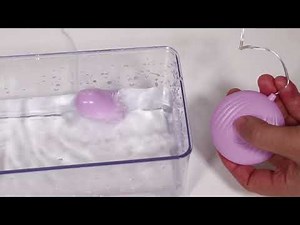 adult toys/adult toys, sex toys, novelty products wholesale, distributor, supplier from America