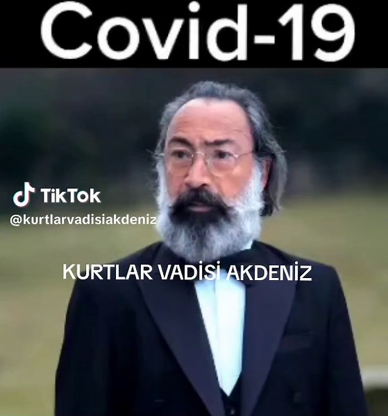 kurtlar vadisi TikTok'ta