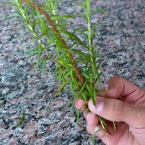 1M views · 9.2K reactions | Women and men in their 40s look 25 with this mix! | Tips and Tricks | Facebook