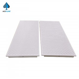[Hot Item] 300X600mm Metal Ceiling Aluminum Clip in Ceiling for Office Decor