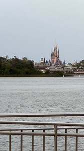 1K views · 61 reactions | The Monorail from the Magic Kingdom Ferry DisneyOver50.com #waltdisneyworld #magickingdom #transportationandticketcenter #monorail #monorailmonday #disneytransportation #disneyover50 | DisneyOver50 | Facebook