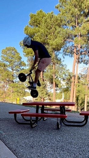 Eat yo lunch! 🧺 @shorty_bmx981 is such a beast on the #ProSeries #FatboyMiniBMX #FatboyArmy #BMX | Fatboy Mini BMX