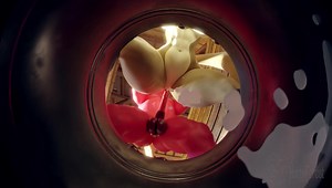 (HornyForest) Busted Red-Handed