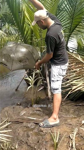 Pasang Bubu Udang | Perangkap Udang..#udang