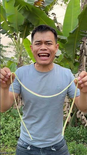 Kẹo cầu vồng 1 % và 100% | #tittv