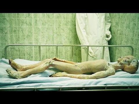 Alien Gives Birth -REAL FOOTAGE-