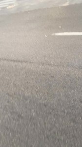 262K views · 3.5K reactions | “So this what y’all doing in Detroit 臘” #fypシ #explore #funny | Rack Newpag | Facebook