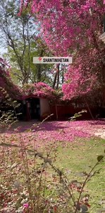 39 reactions | ©unknown | Quarantine Playlist | Facebook